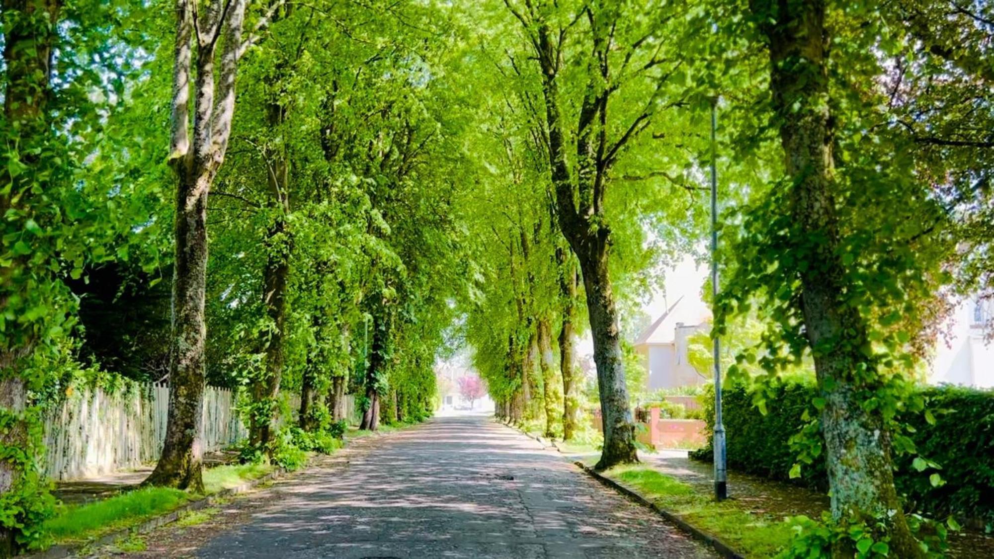 Longbank Luxury Lets Villa Ayr Buitenkant foto